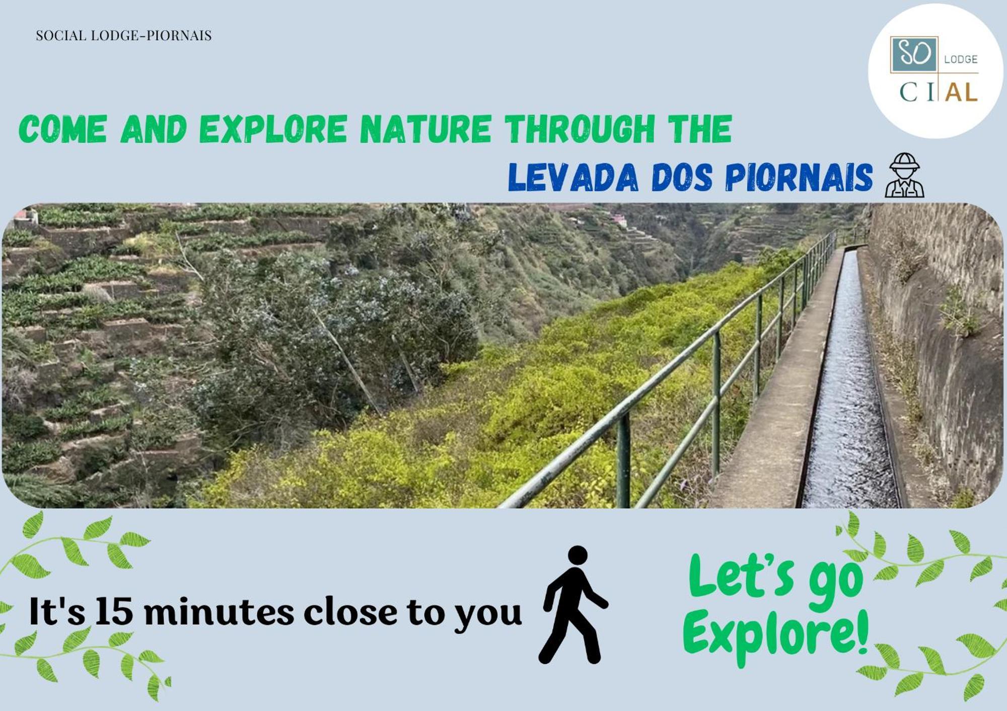Social Lodge - Piornais Funchal  Ngoại thất bức ảnh